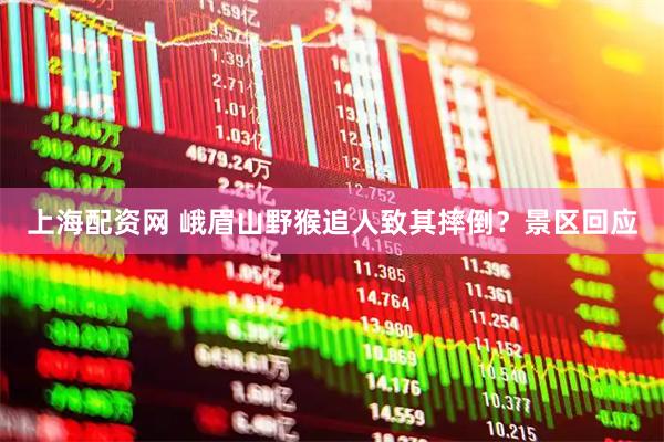 上海配资网 峨眉山野猴追人致其摔倒？景区回应